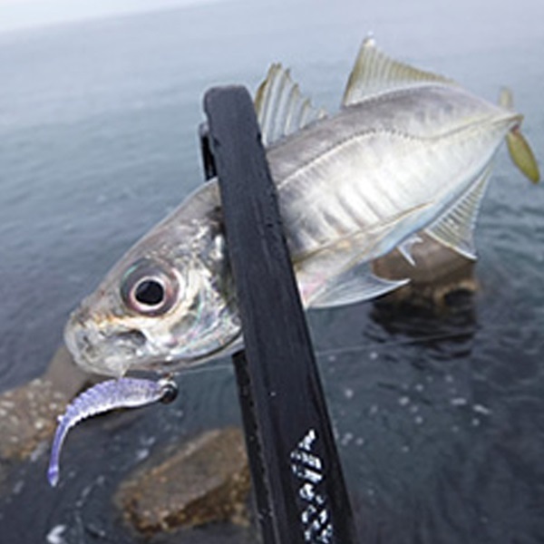 月下美人 アジングビームFAT 1.5インチ